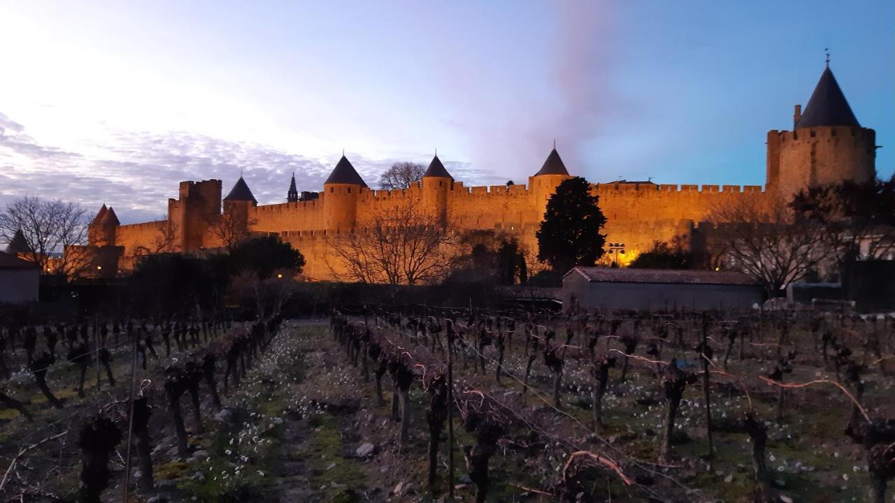 Domaine Fontgrande Gite Carcassonne Zewnętrze zdjęcie