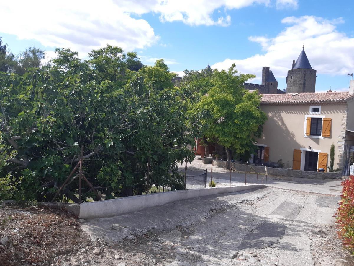 Domaine Fontgrande Gite Carcassonne Zewnętrze zdjęcie