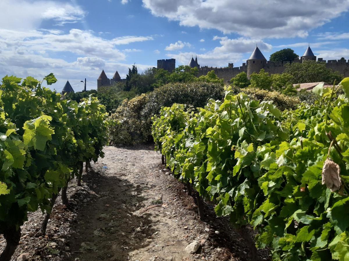 Domaine Fontgrande Gite Carcassonne Zewnętrze zdjęcie