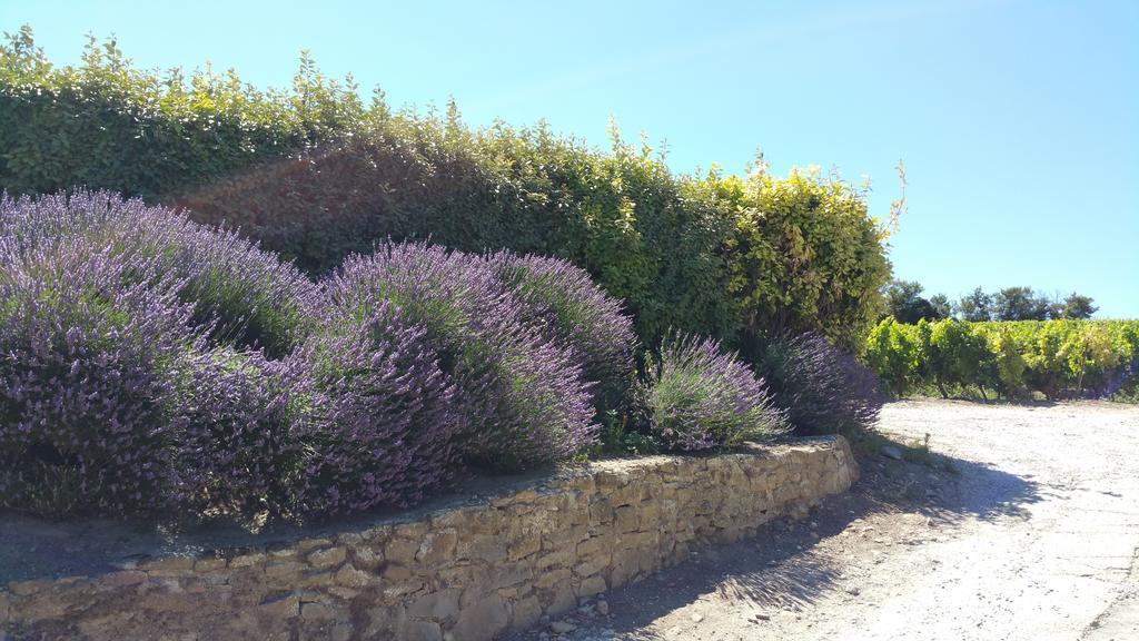 Domaine Fontgrande Gite Carcassonne Pokój zdjęcie