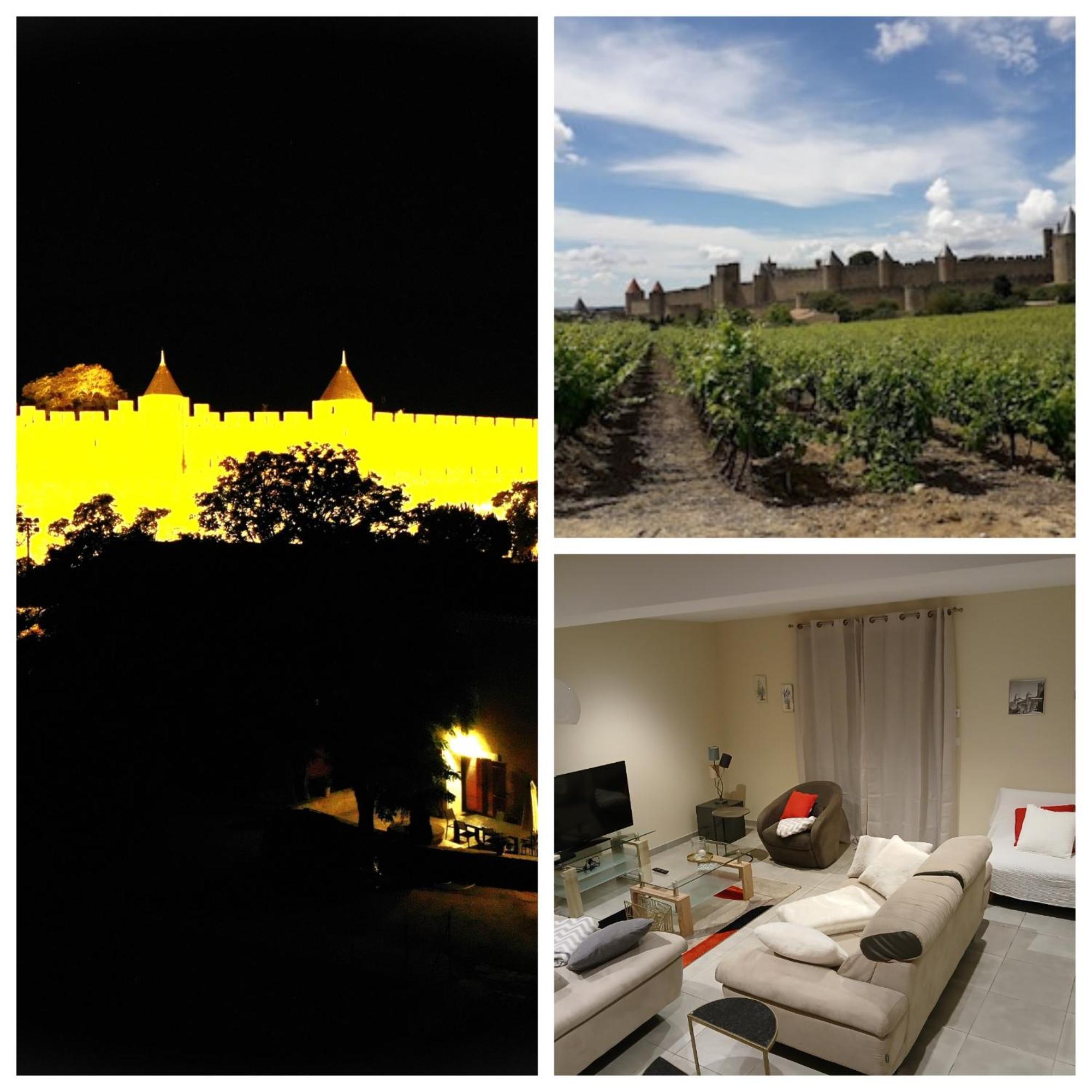 Domaine Fontgrande Gite Carcassonne Zewnętrze zdjęcie