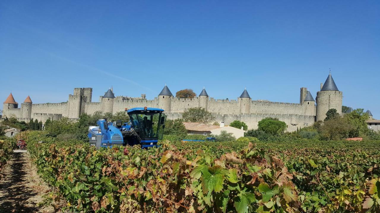 Domaine Fontgrande Gite Carcassonne Zewnętrze zdjęcie