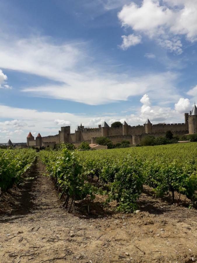 Domaine Fontgrande Gite Carcassonne Zewnętrze zdjęcie