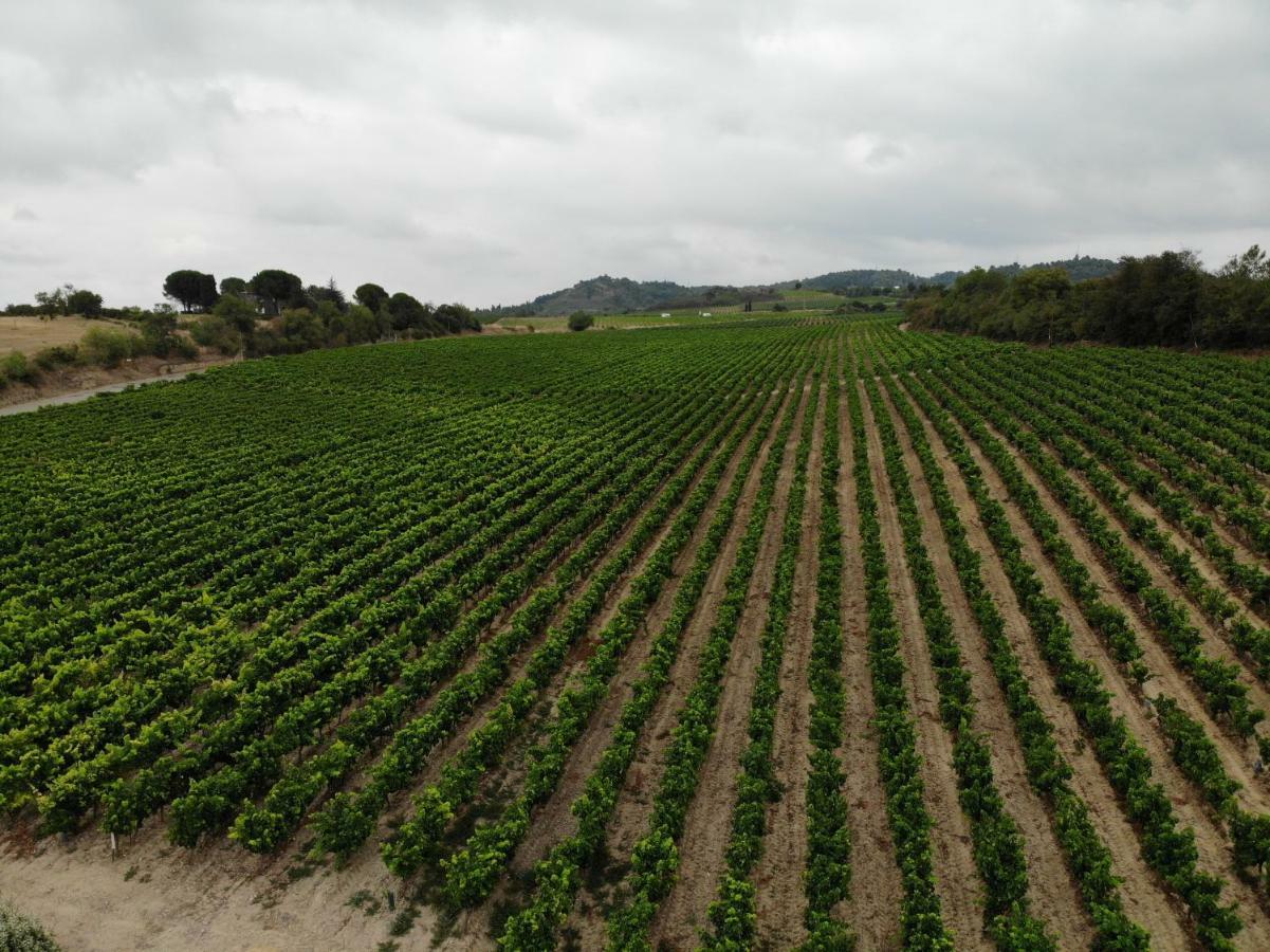 Domaine Fontgrande Gite Carcassonne Zewnętrze zdjęcie